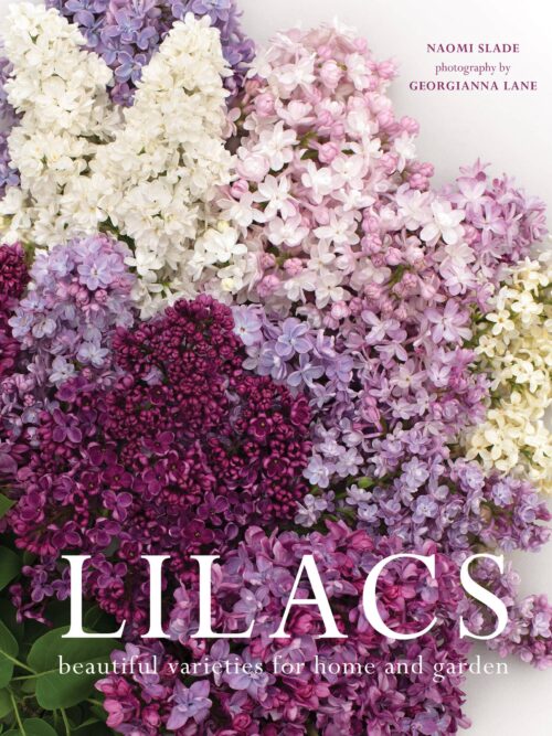 Lilacs: Beautiful Varieties for Home & Garden