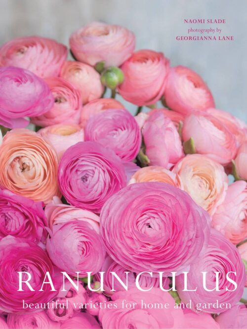 Ranunculus: Beautiful varieties for home and garden